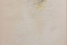 G4_218_25.jpg
