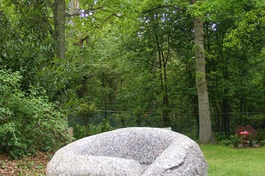 DSCF1141.jpg
