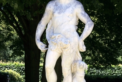 G1_001_004_Apollo_met_hond.jpg