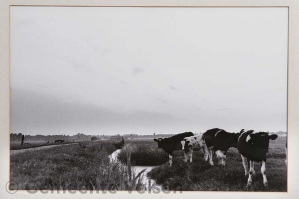G4_230_005.jpg
