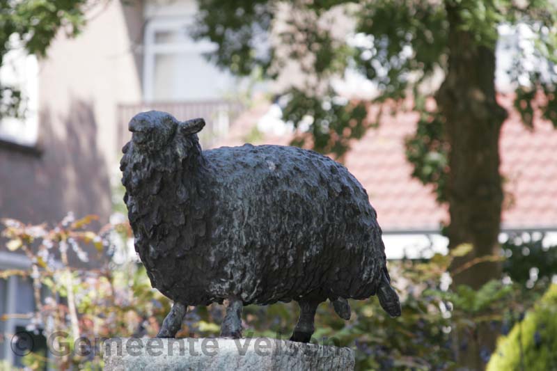 Foto van Schaap